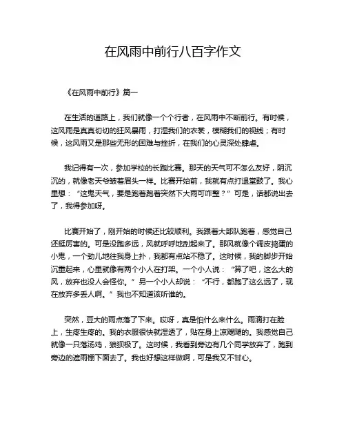 在风雨中前行八百字作文