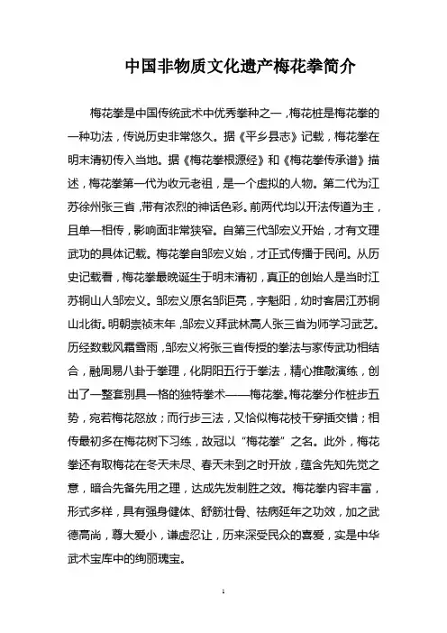 梅花拳简介