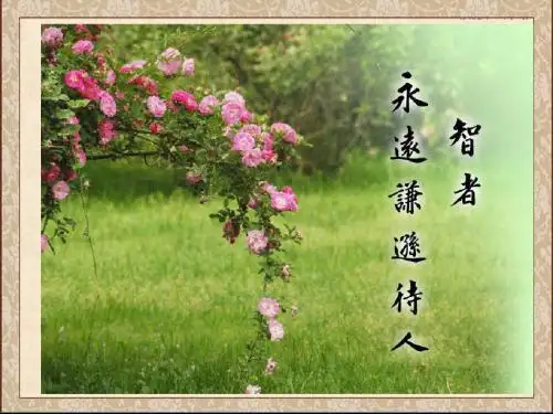 第3课 宋明理学精美课件(共47张PPT)