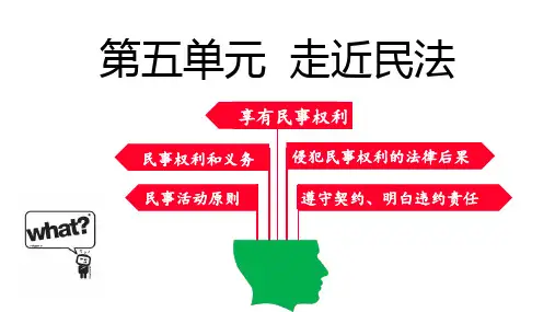教科版《道德与法治》九年级上册第13课《认识民法》精品课件(共15张PPT)