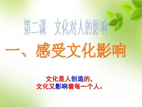 高中政治人教版必修三第一单元 文化与生活 2.1感受文化影响 课件(共34张PPT)