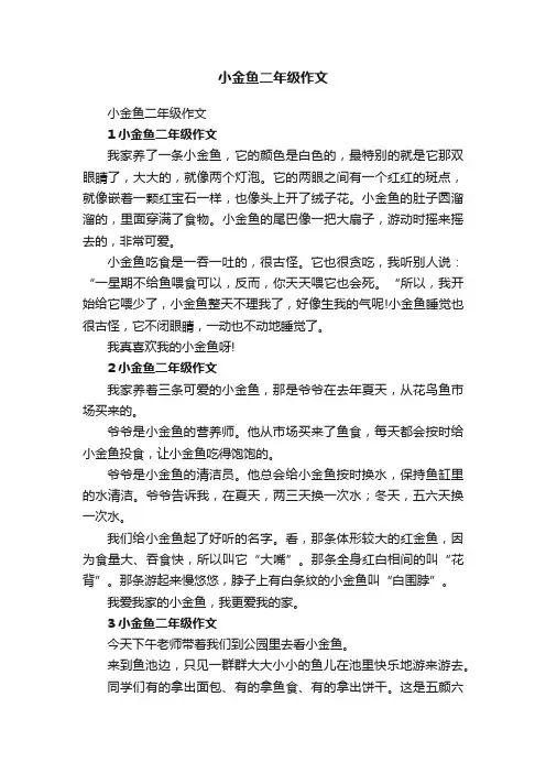 小金鱼二年级作文