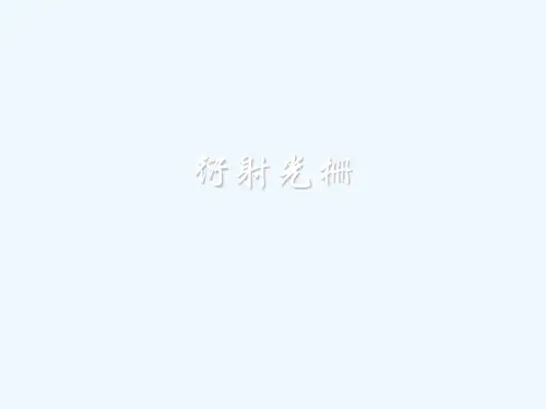 衍射光栅实验.ppt