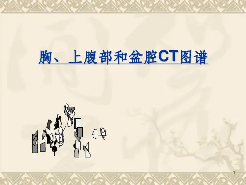 全身CT断层解剖详细实用图解
