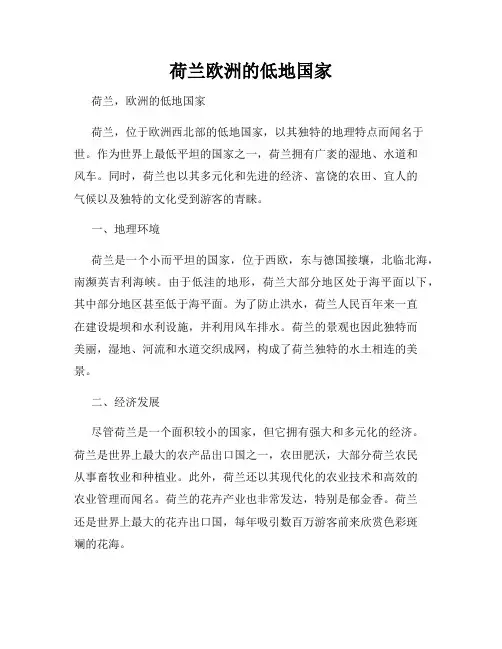 荷兰欧洲的低地国家