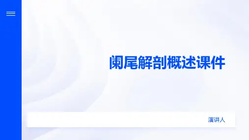 阑尾解剖概述课件