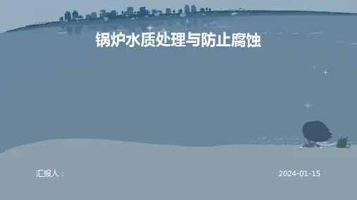 锅炉水质处理与防止腐蚀