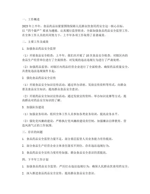 食药站上半年工作总结