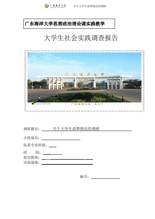 大学生社会实践调研报告