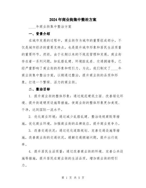 2024年商业街集中整治方案