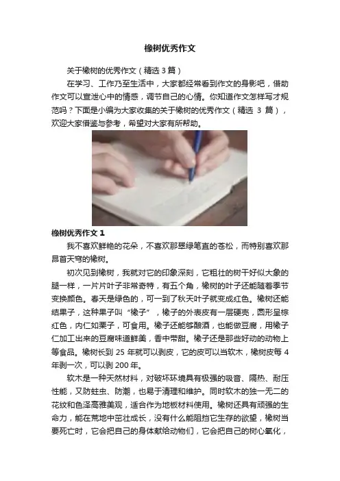 橡树优秀作文