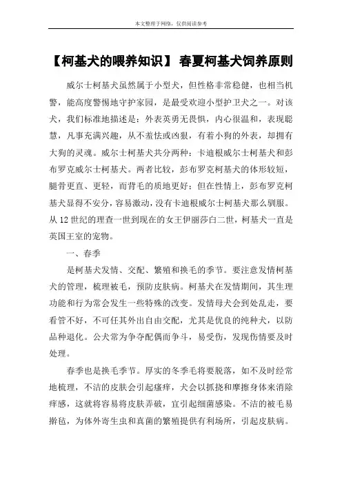 【柯基犬的喂养知识】 春夏柯基犬饲养原则