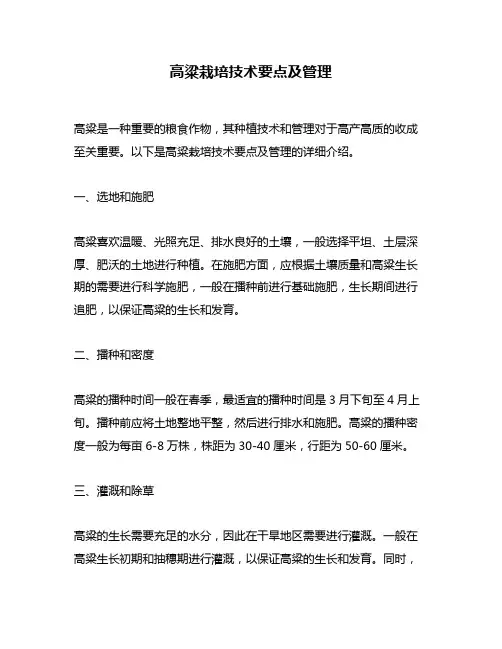 高粱栽培技术要点及管理