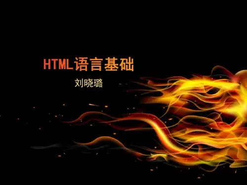 HTML基础