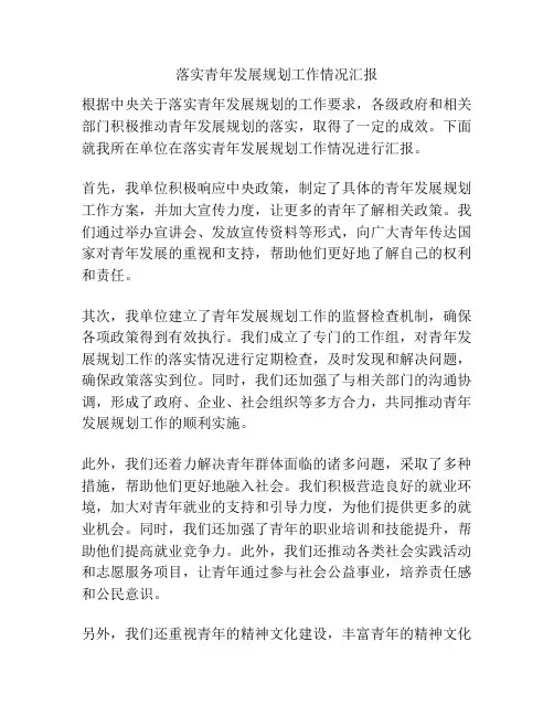 落实青年发展规划工作情况汇报