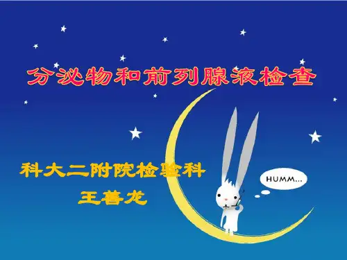 四、前列腺液及分泌物检查