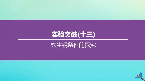 (北京专版)2020中考化学复习方案实验突破(13)铁生锈条件的探究课件