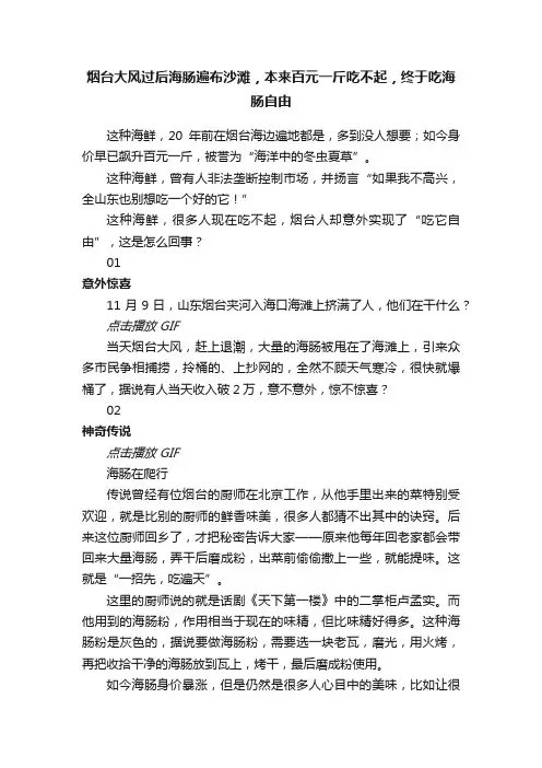 烟台大风过后海肠遍布沙滩，本来百元一斤吃不起，终于吃海肠自由