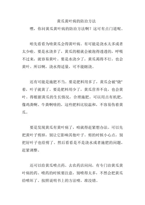 黄瓜黄叶病的防治方法
