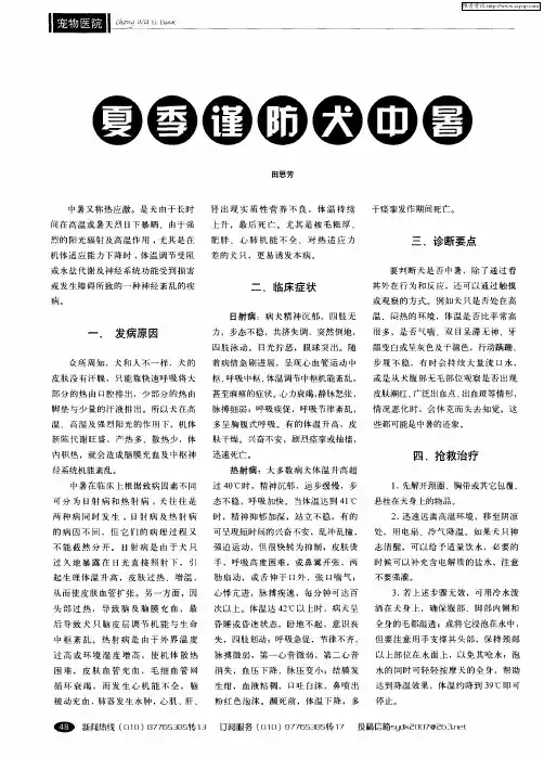 夏季谨防犬中暑