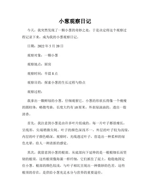 小葱观察日记