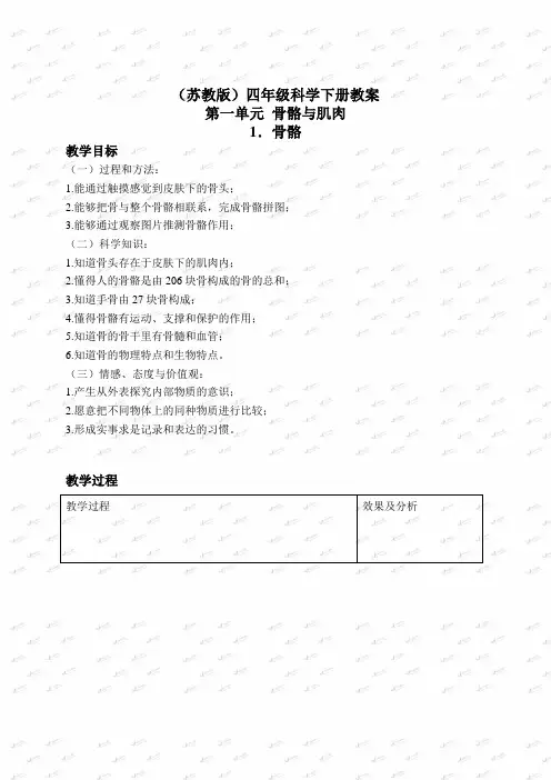 【最新苏教版科学教案】苏教小学科学四下《1.1骨骼》word教案(3)
