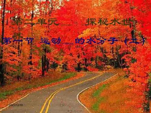 九年级化学 第二单元 第一节 运动的水分子课件 