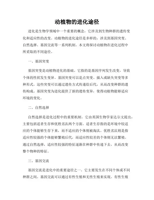 动植物的进化途径