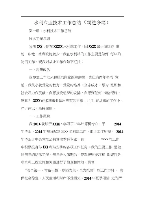 水利专业技术工作总结范文