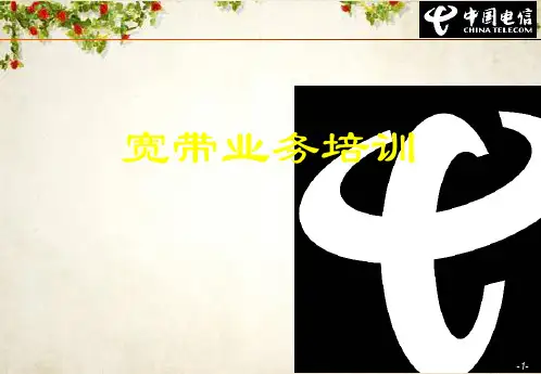 中国电信宽带业务的培训资料(ppt 31页)