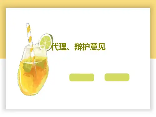 代理、辩护意见28页PPT
