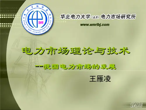 电力市场理论与技术我国电力市场发展.pptx
