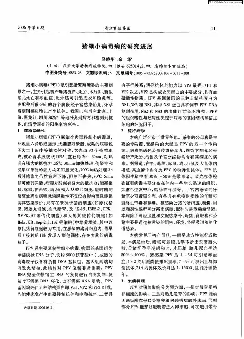 猪细小病毒病的研究进展