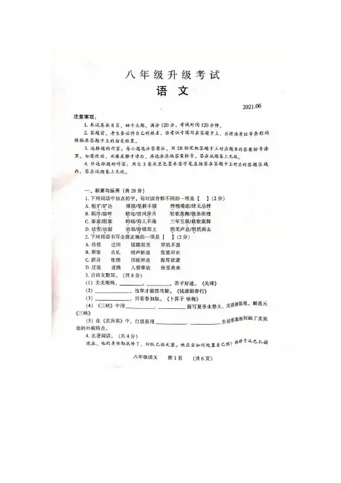 河南省濮阳市2020-2021学年八年级下学期期末考试语文试卷(含答案)