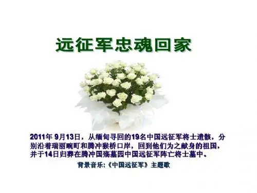 远征军忠魂回家