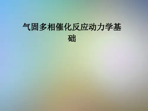 气固多相催化反应动力学基础
