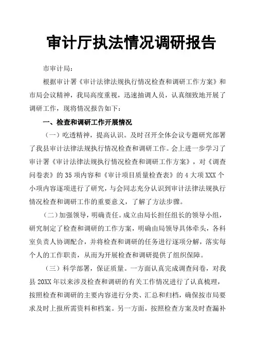 审计厅执法情况调研报告
