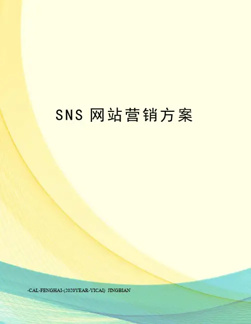 SNS网站营销方案