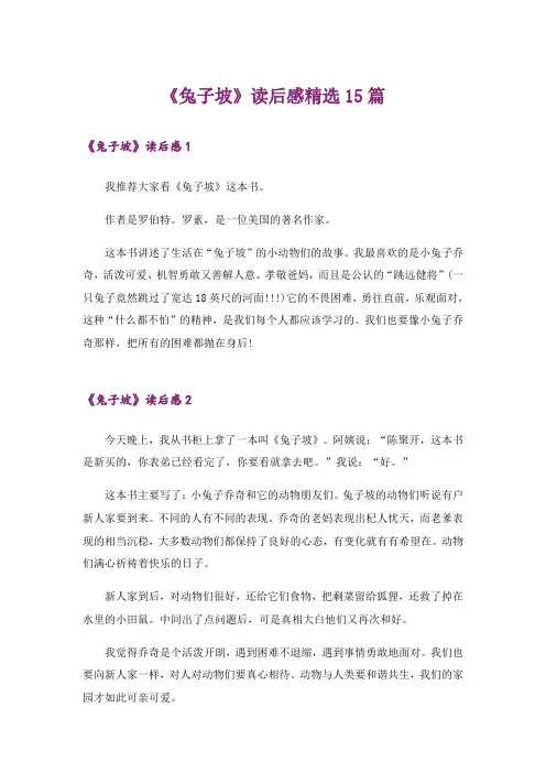 《兔子坡》读后感精选15篇