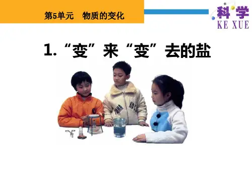 四年级下册科学课件-5.1“ 变”来“变”去的盐  ｜湘科版(一起)       (共11张PPT)