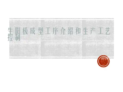 生阳极成型工序介绍和生产工艺控制