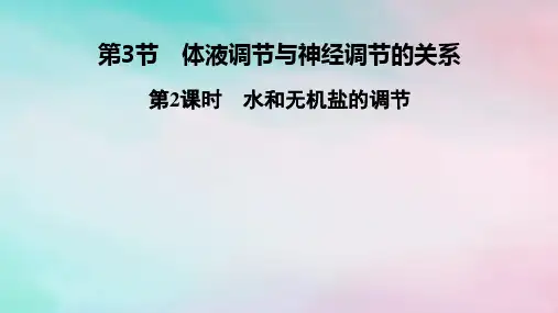2025版新教材高中生物第3章第3节第2课时水和无机盐的调节课件新人教版选择性必修1