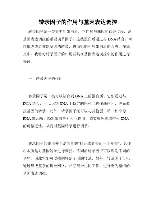 转录因子的作用与基因表达调控