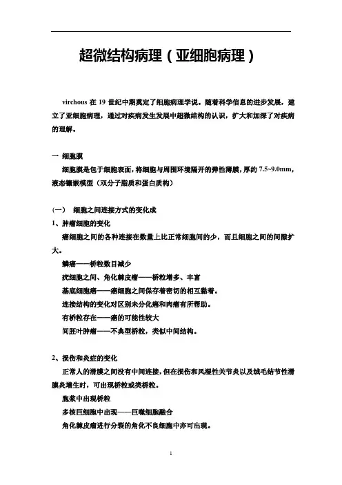 超微结构病理(亚细胞病理)
