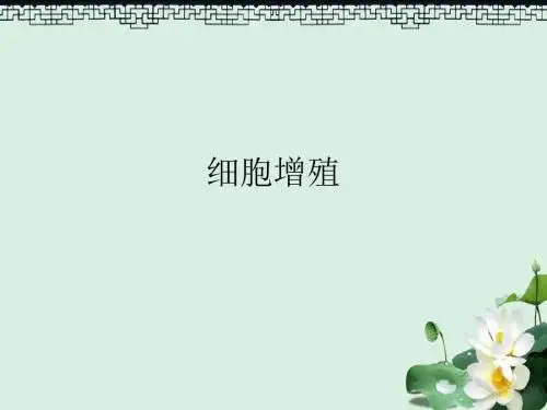 高中生物第六章细胞的生命历程6.1细胞增殖2课件新人教版必修1