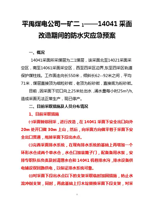 水灾应急预案(改1)