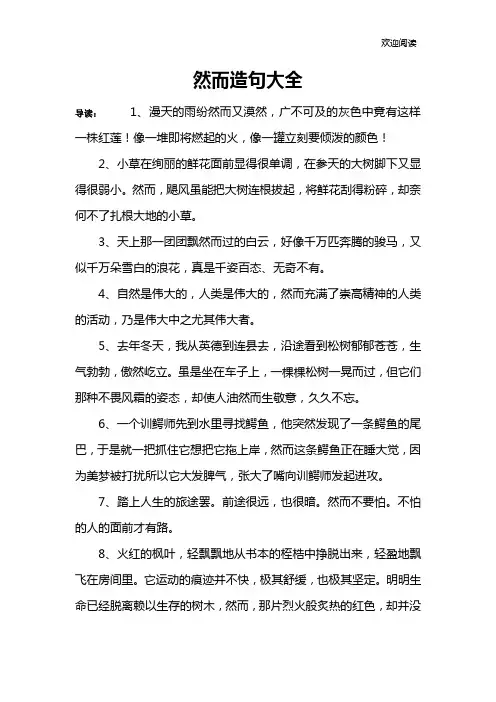 然而造句大全
