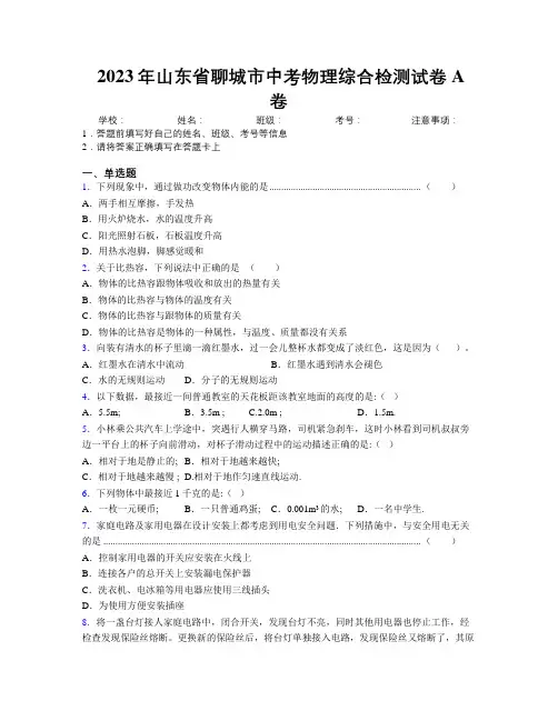 2023年山东省聊城市中考物理综合检测试卷A卷及解析