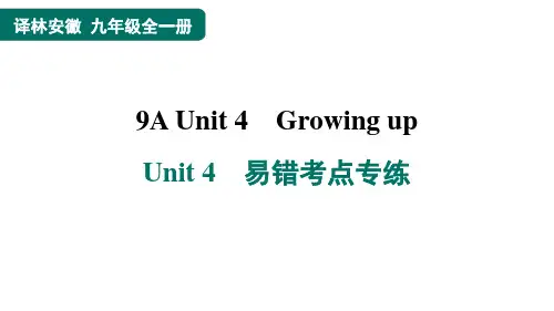 Unit4Unit4易错考点专练课件牛津译林版英语九年级上册