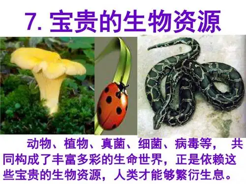 六年级上册科学课件-第一单元 7宝贵的生物资源｜冀教版